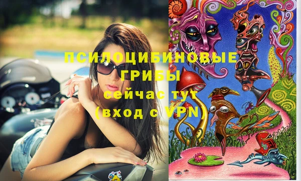 MDMA Алексин