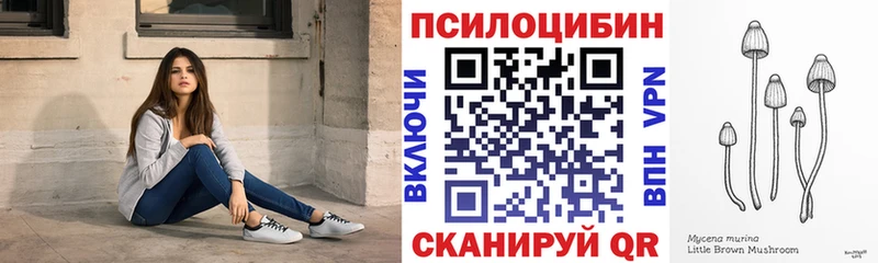 магазин продажи   Калининград  Галлюциногенные грибы мухоморы 