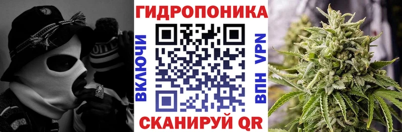 Конопля THC 21% Калининград